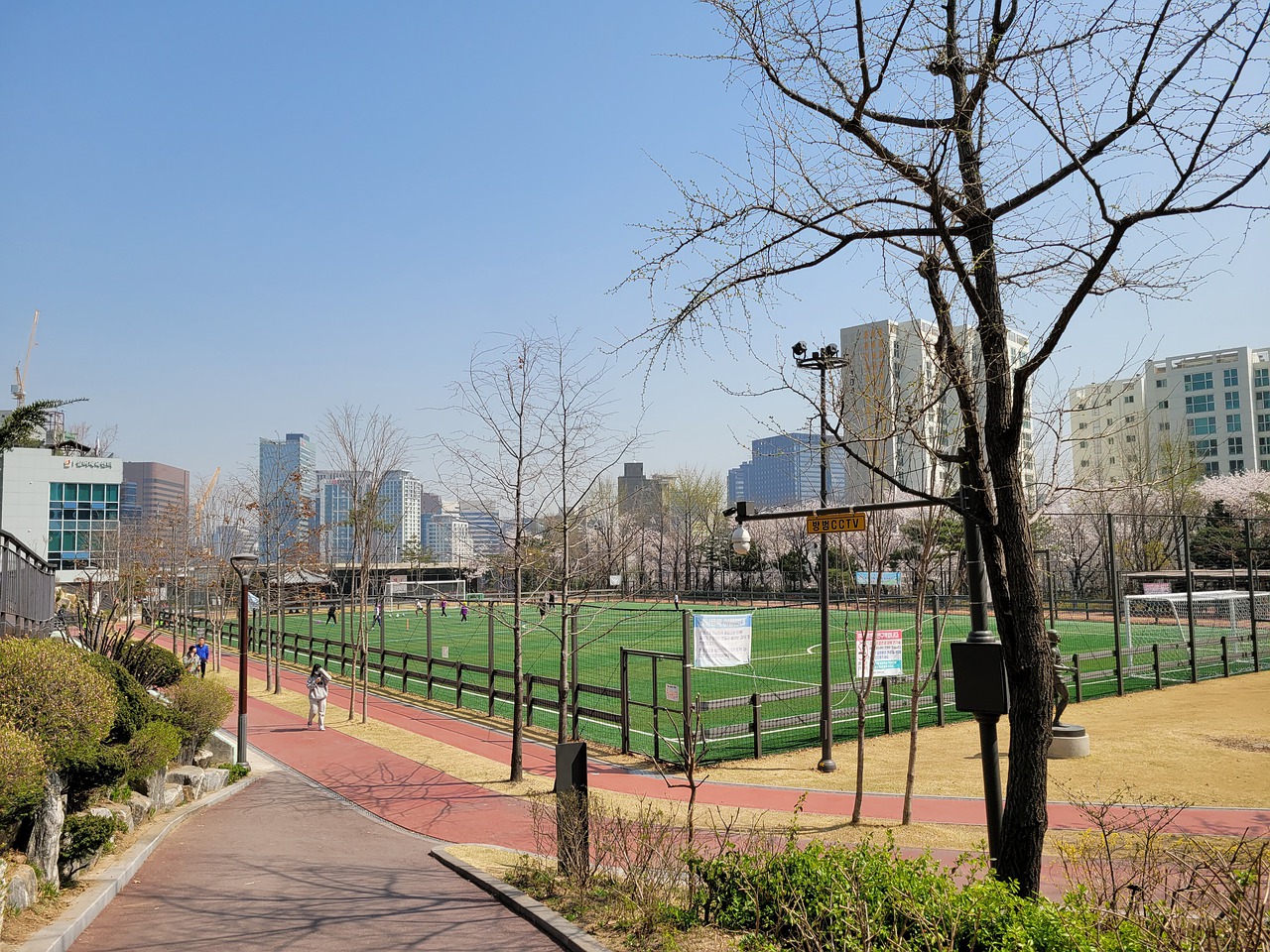 未来发展提