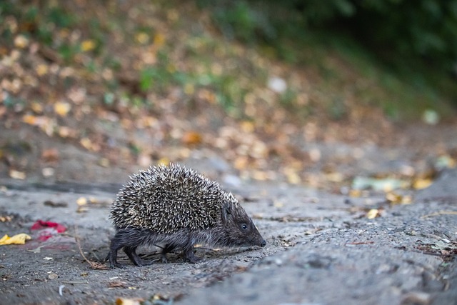 日举行了一 日举行了一
