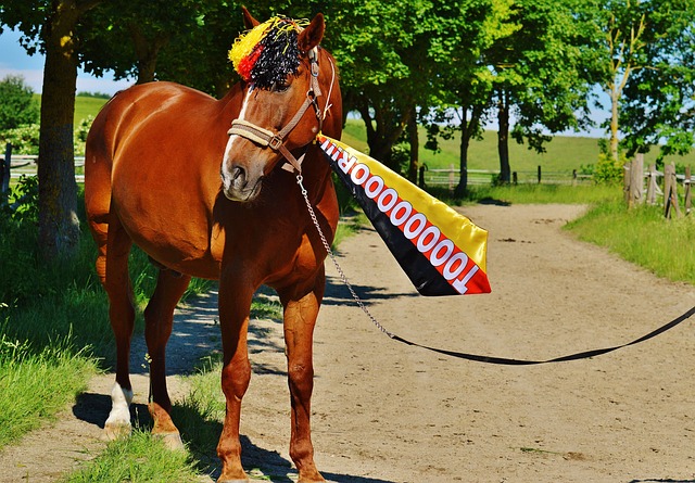日本國奧無緣四強 門將淚灑賽場責任自責.