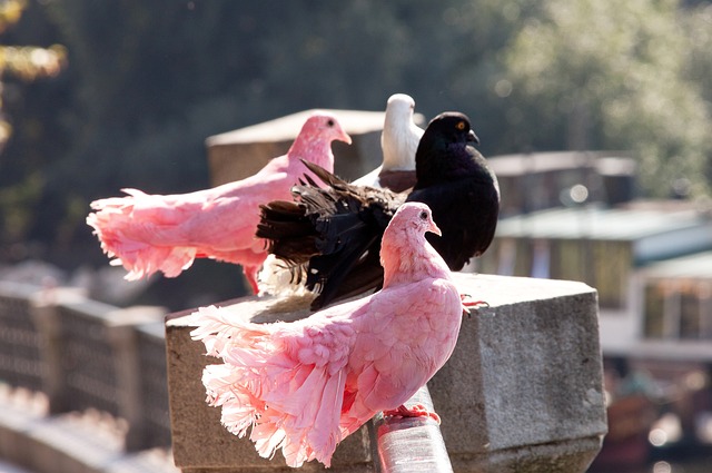 与球迷之间 与球迷之间