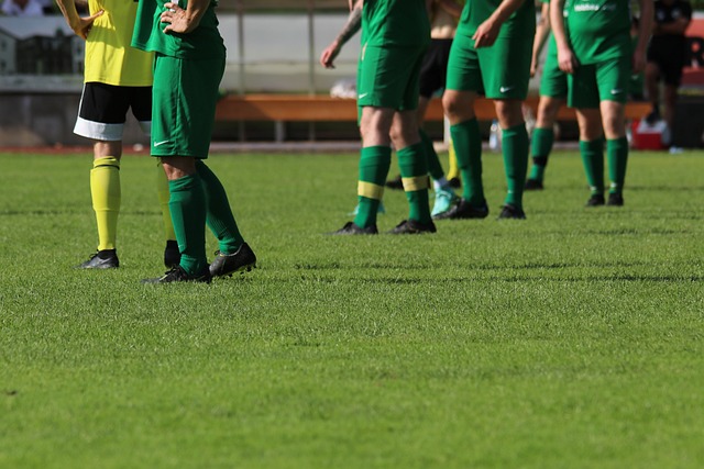 悉心指导 悉心指导