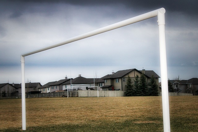 足以证明中 足以证明中