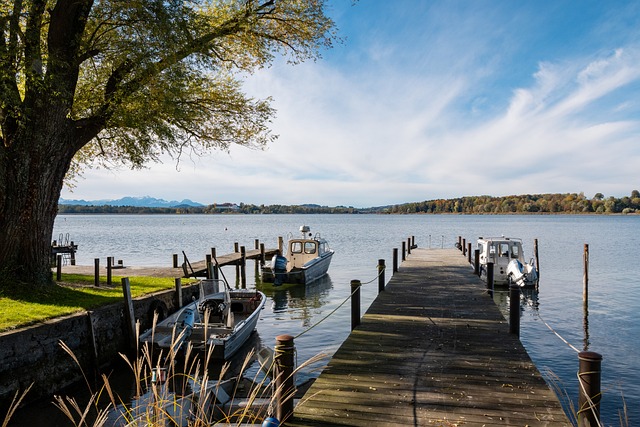 澳大利亚主帅：现场观众带来很大压力，王钰栋踢得很好.