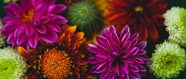 成本而高效 成本而高效